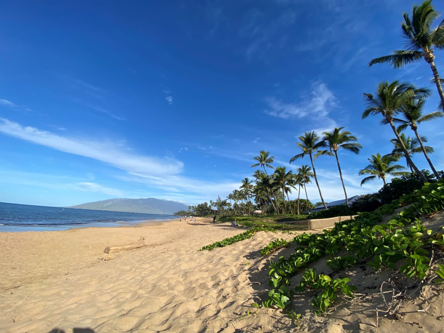 Live Life Like a Snow Globe, Shake It Up - BG Barnstormer