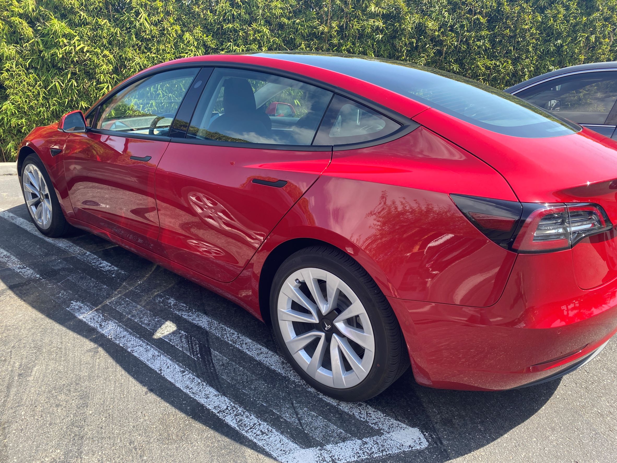 My Tale of Trying the Tesla