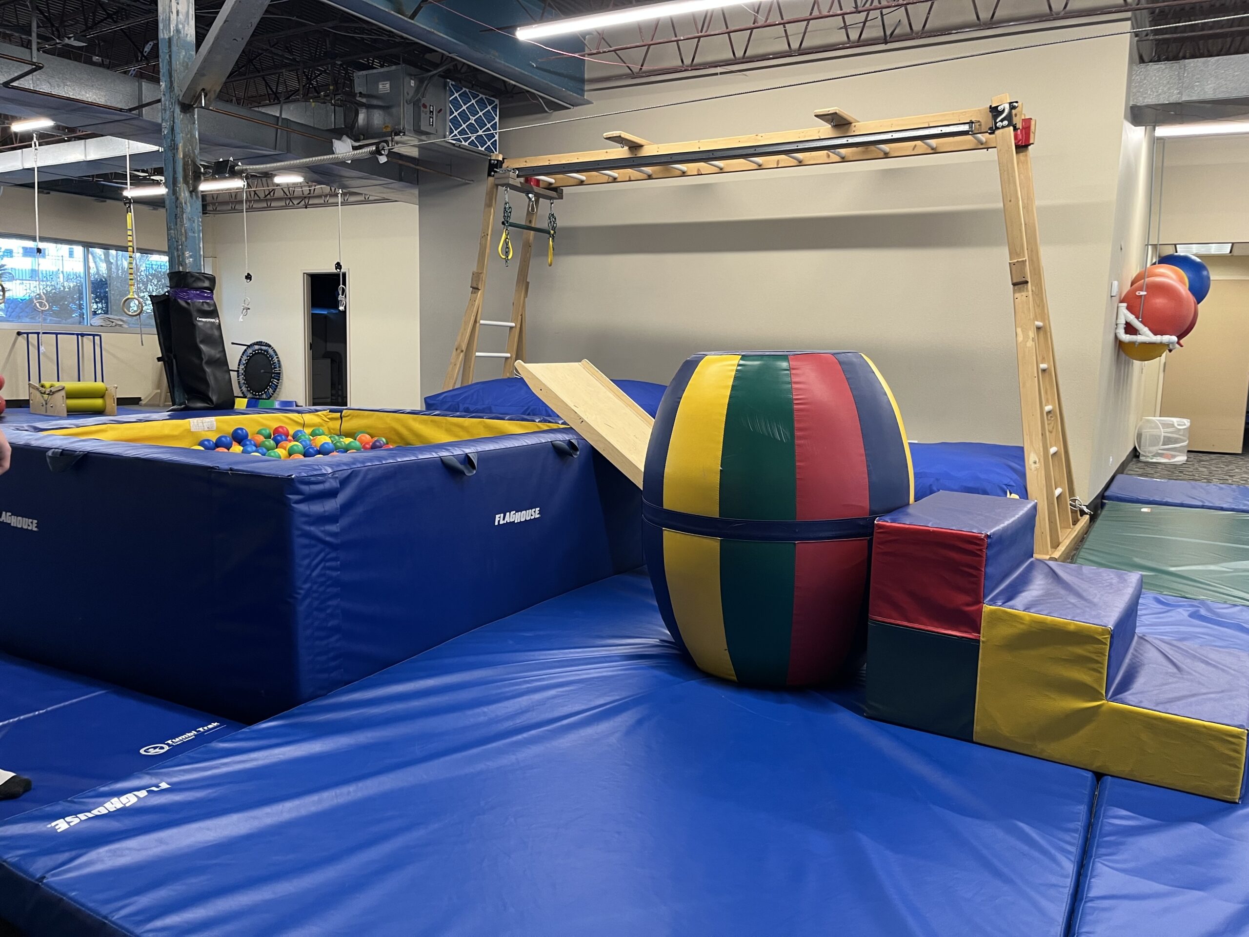 Gym with mats on the floor, ball pit, and play equipment